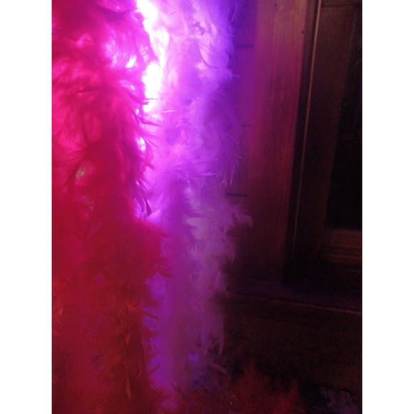 7 Ft Feather Boa Valentine Halloween Prom 1920s Costume Burlesque Dance Cos - Picture 2 of 5